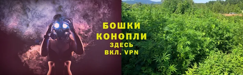 Шишки марихуана THC 21%  купить наркотик  Солигалич 